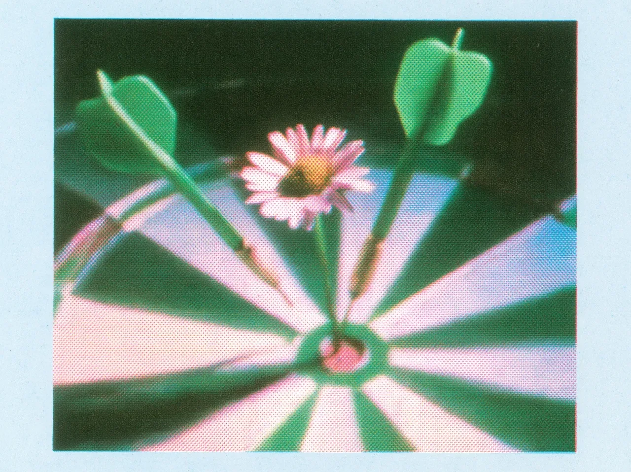 Midjourney作品赏析|靶心雏菊与复古苔藓绿 | 风格与构图的巧思