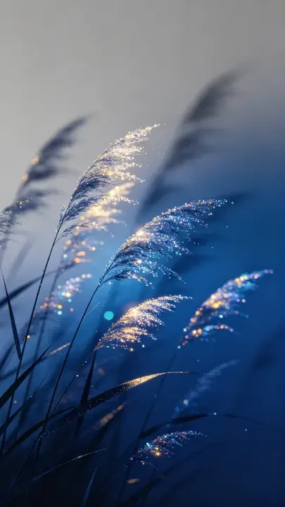 即梦上看到一张芦苇图 | 这光影质感做短剧背景绝了