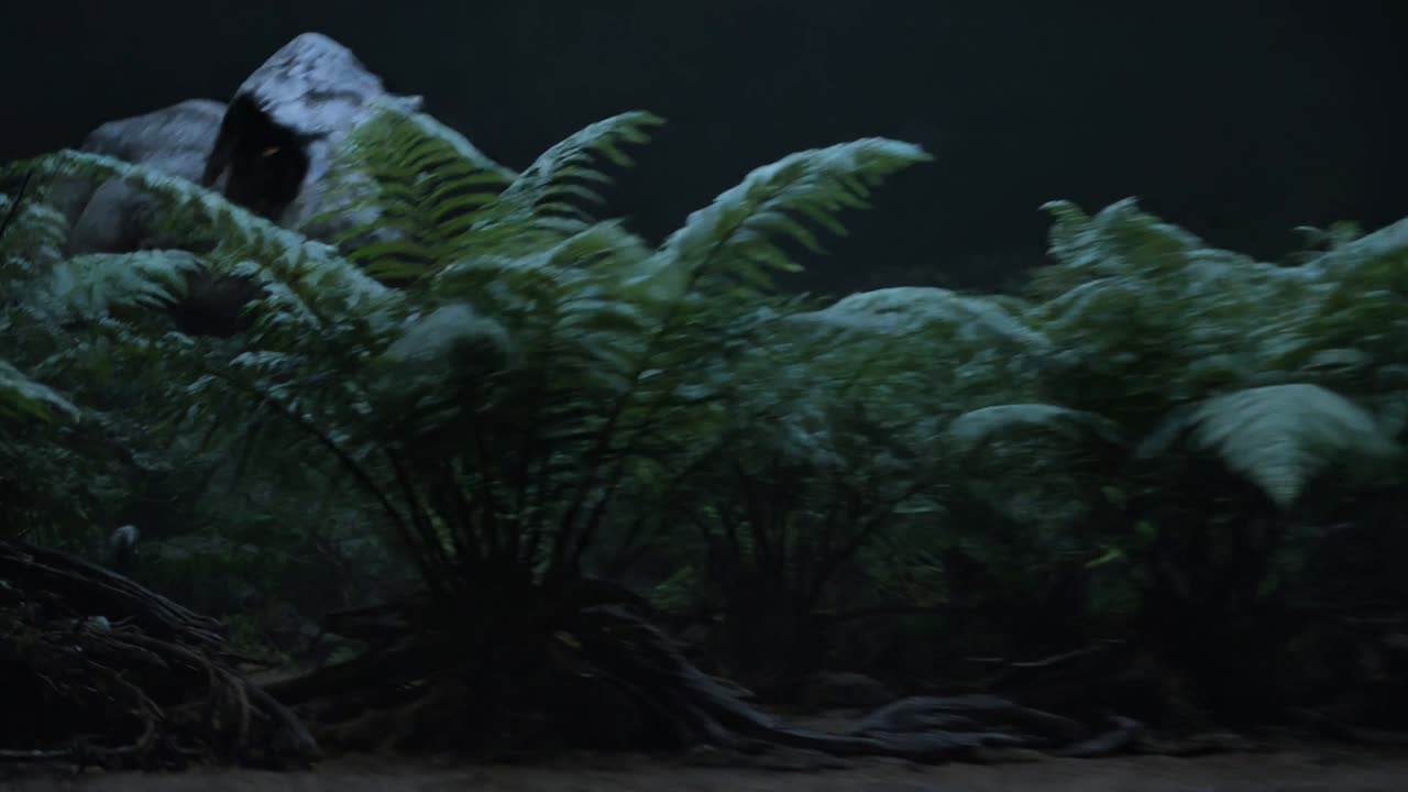 可灵霸王龙追逐分镜 | 黑暗丛林压迫感营造解析